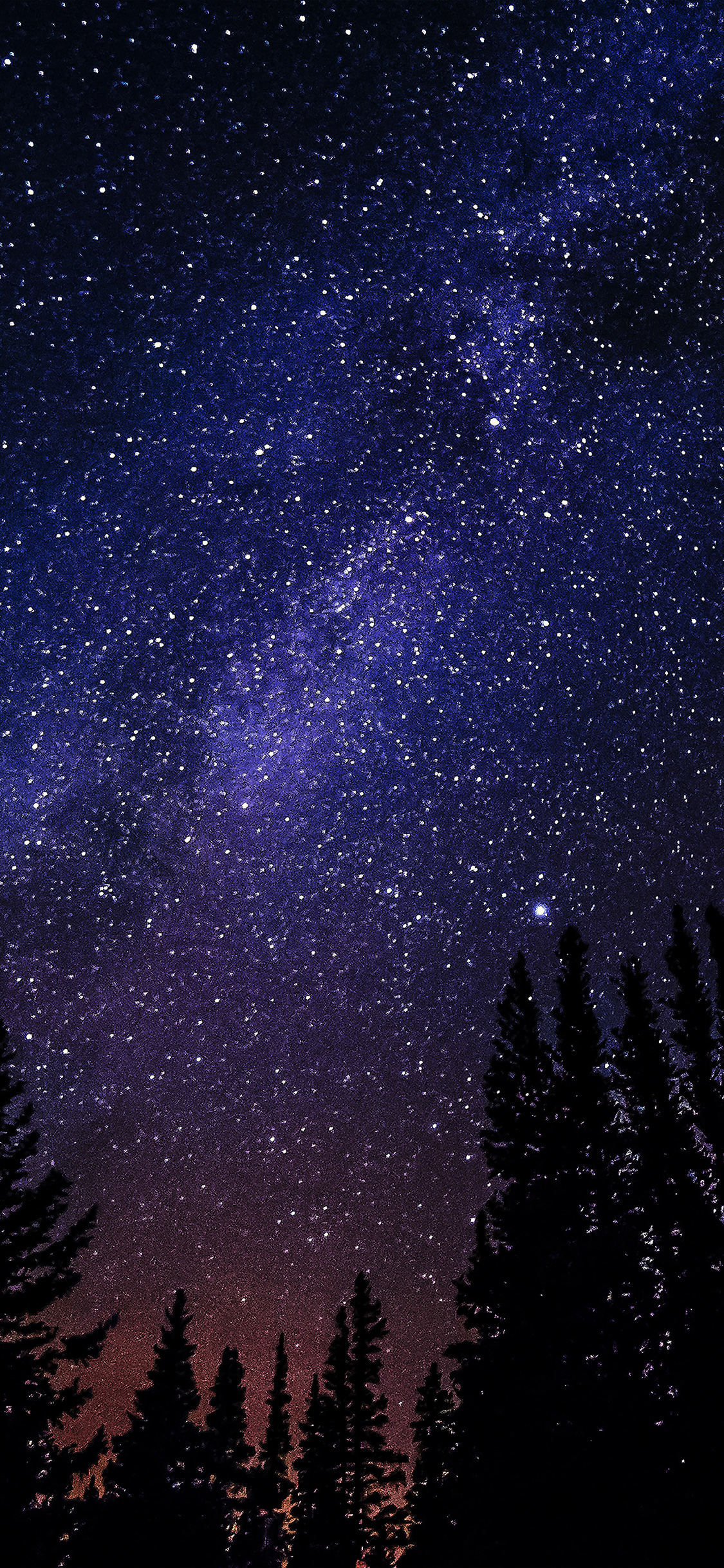 iPhone X wallpaper. night starry sky aurora winter dark