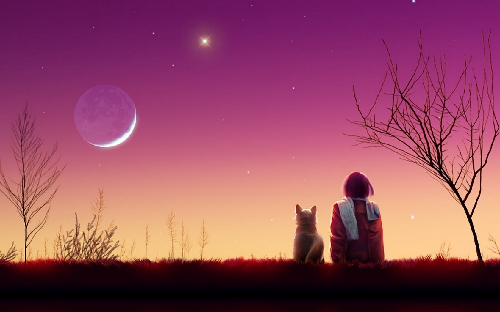 Anime girl watches the sunset with her cat HD Wallpaper 1680x1050