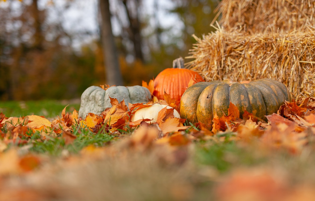 Autumn Straw Wallpapers Wallpaper Cave