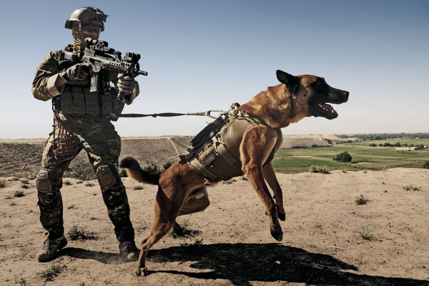 Dog Quotes From Army. QuotesGram