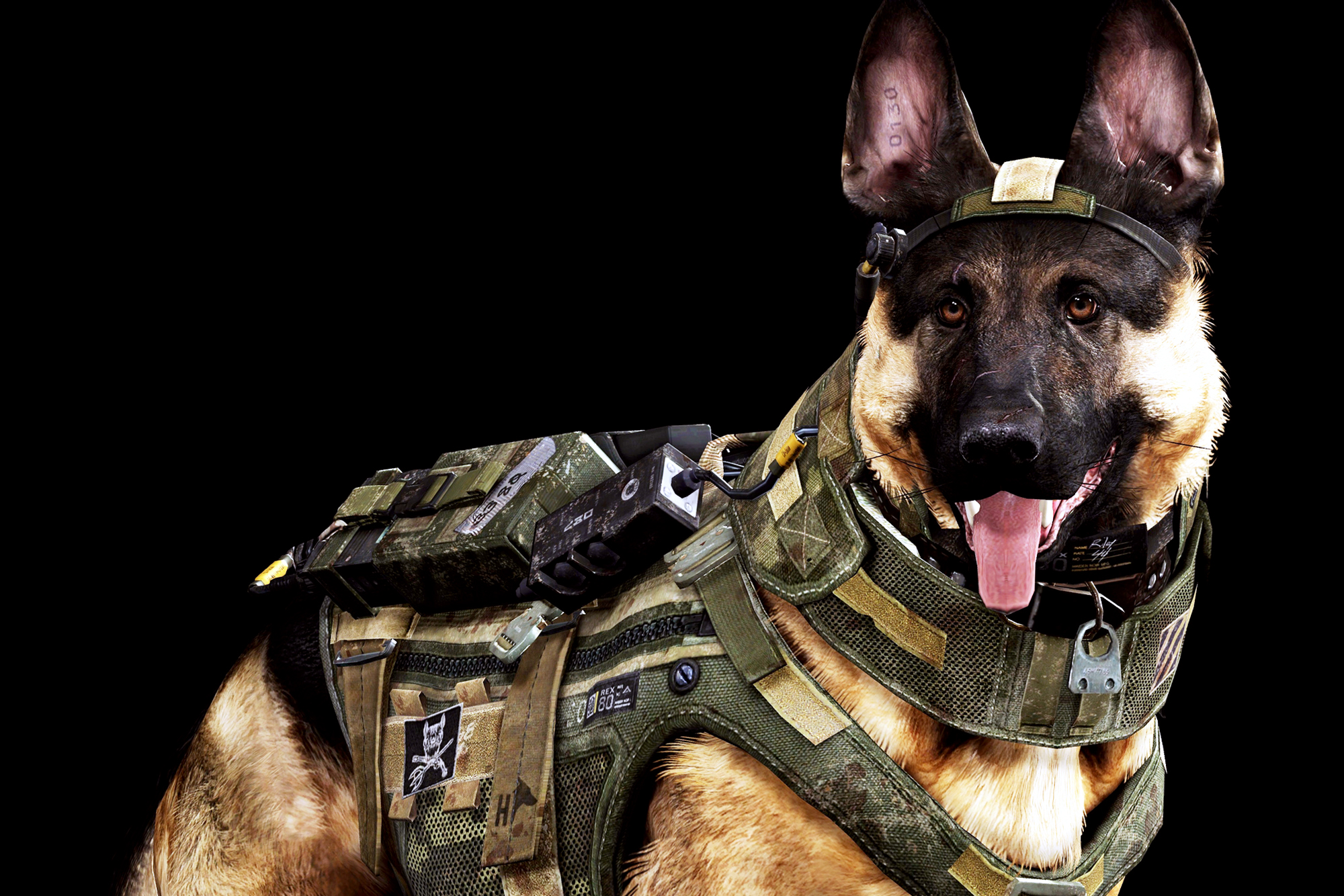 Dog Army Awesome Wallpaper HD / Desktop and Mobile Background