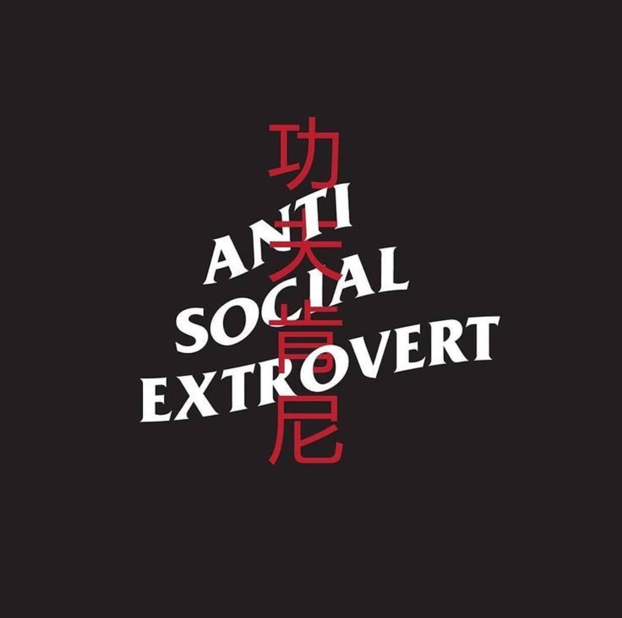 Anti social extrovert shared by Búnni