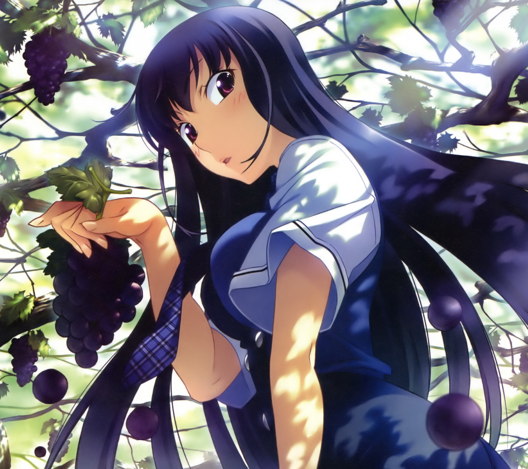 The Fruit Of Grisaia Wallpapers - Wallpaper Cave