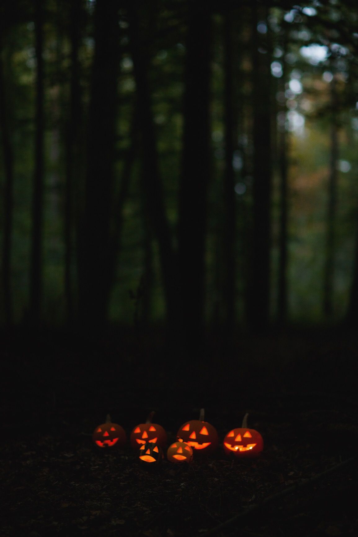 October woods #halloween. Scary halloween pumpkins, Halloween photo, Halloween town