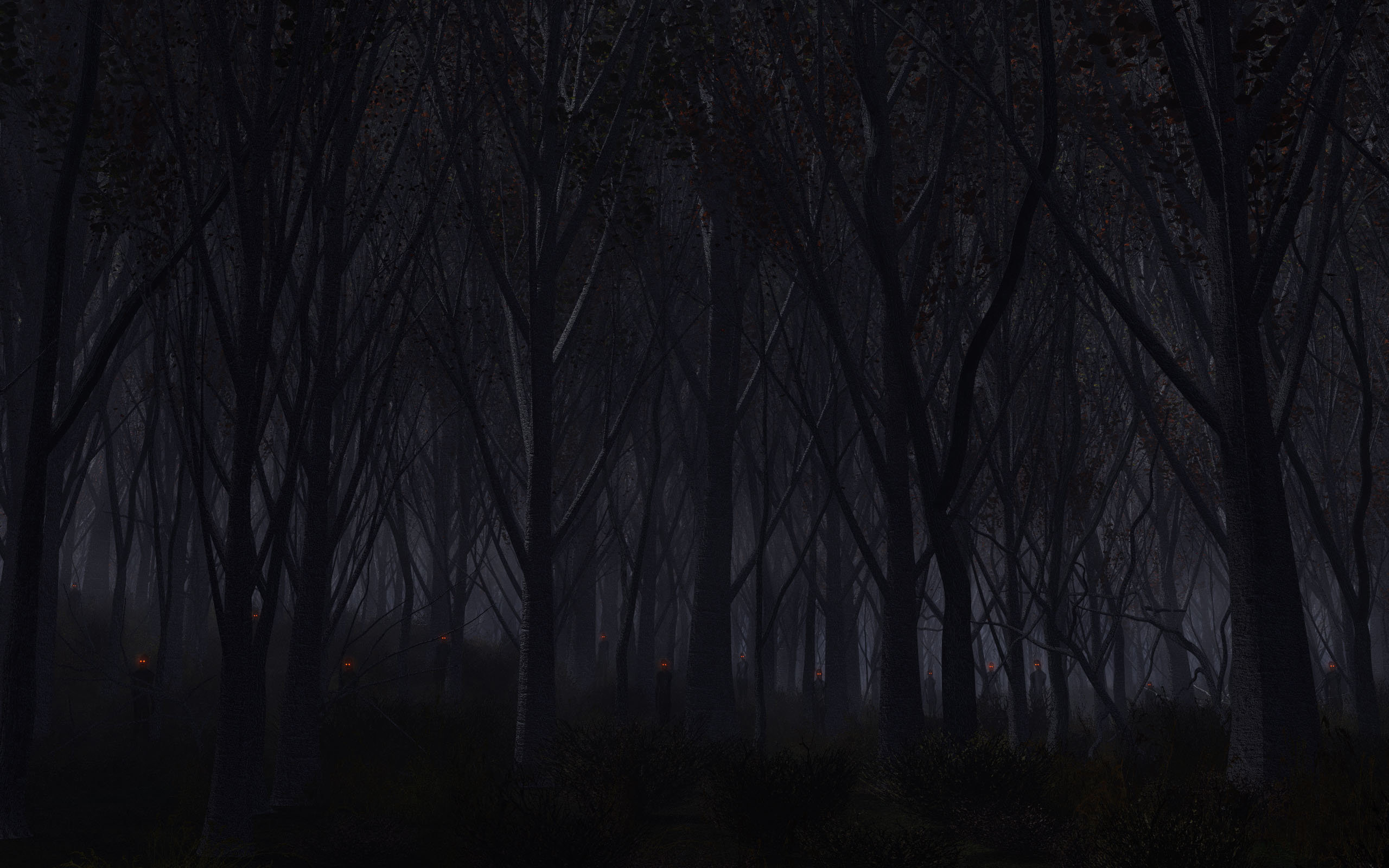 Dark Woods Background