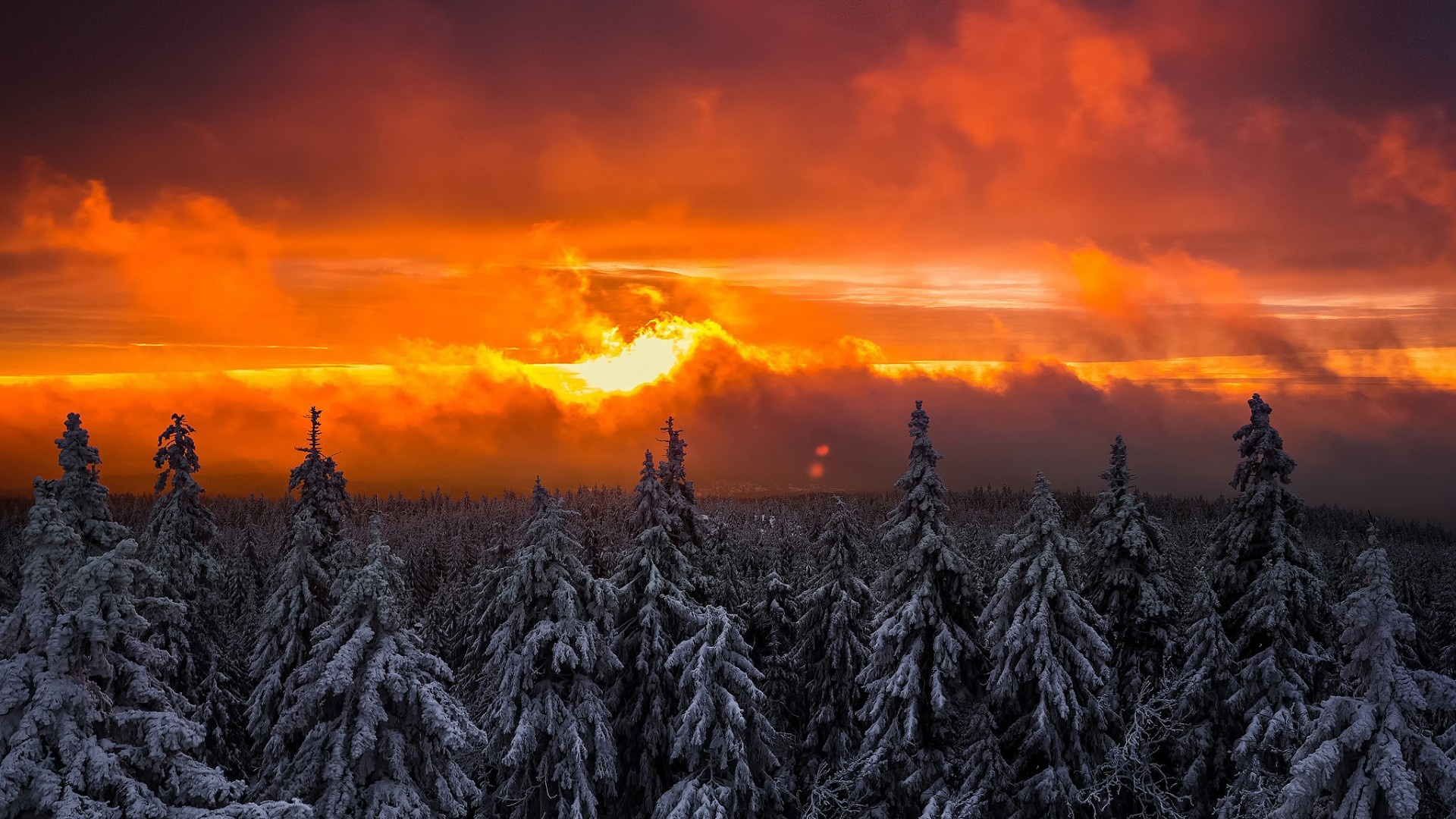 Winter Orange Sunset Forest Snow Wallpaper