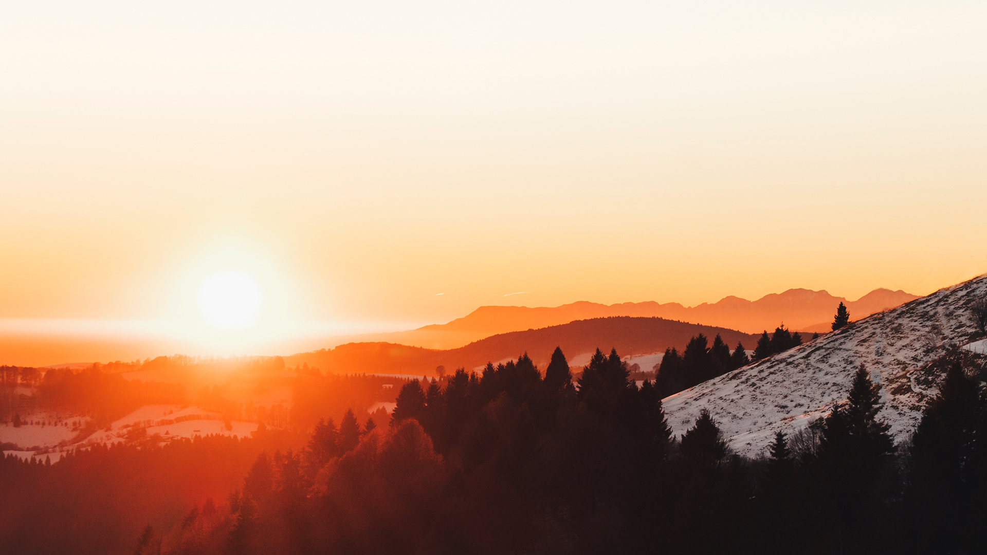 sunrise, Forest, Orange, Winter Wallpaper HD / Desktop and Mobile Background