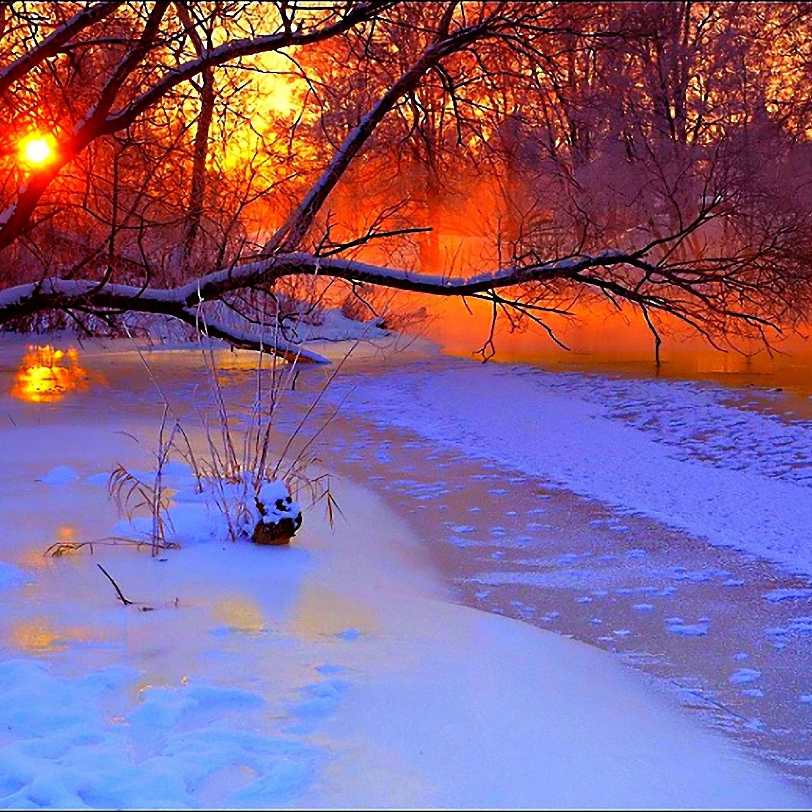 Winter sunset evening iPad Pro Wallpaper Free Download
