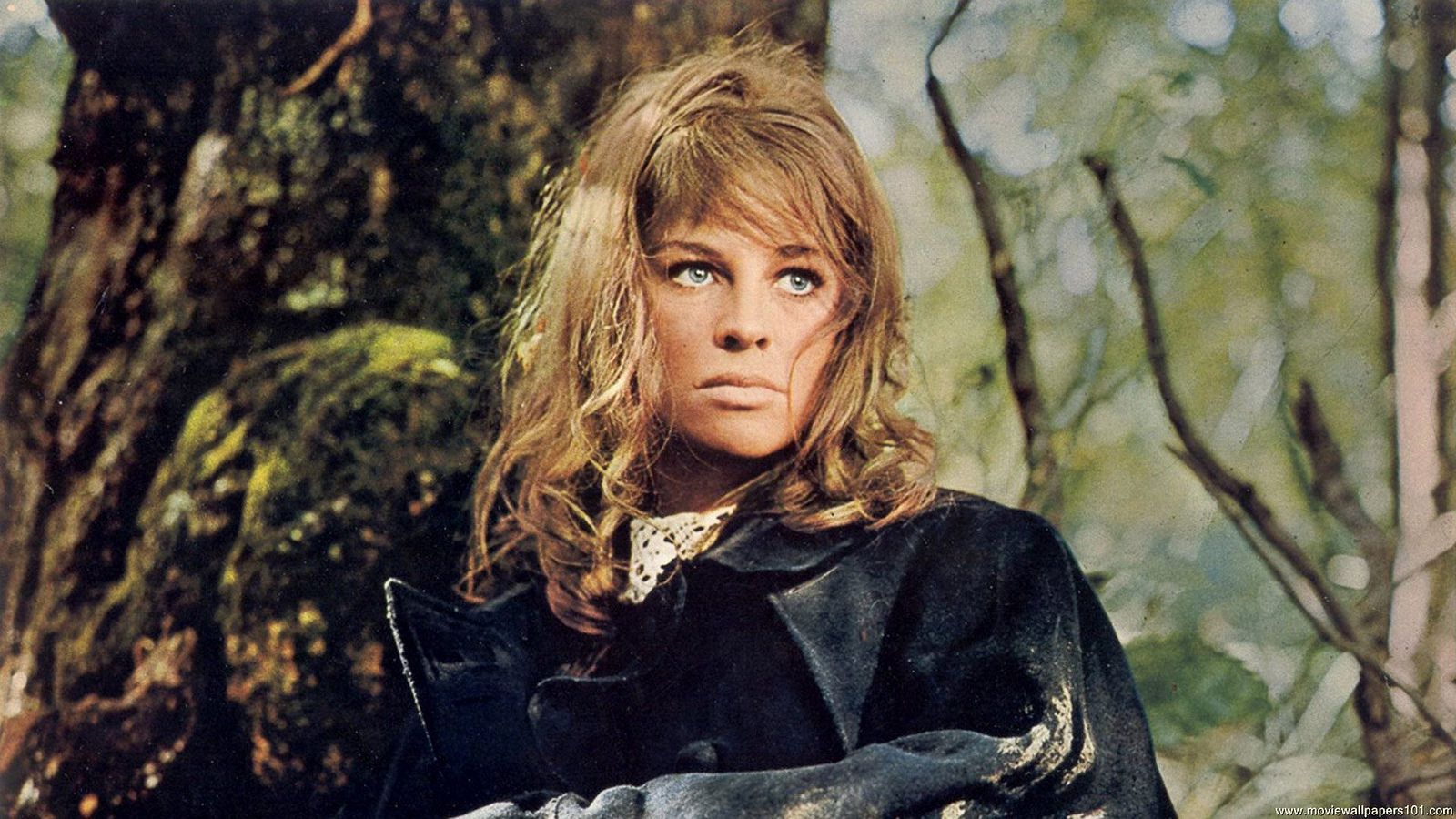Far From The Madding Crowd Movie HD Wallpaper HD Wallpaper. Julie christie, The fall movie, Madding crowd