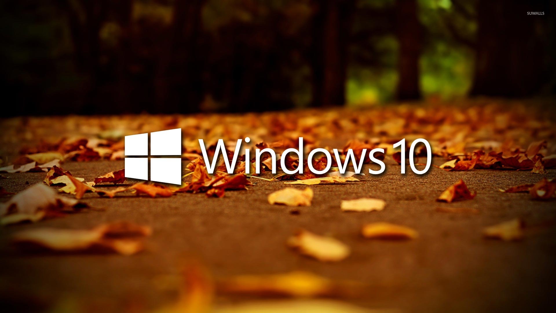 Windows 10 on autumn leaves [2] wallpaper wallpaper