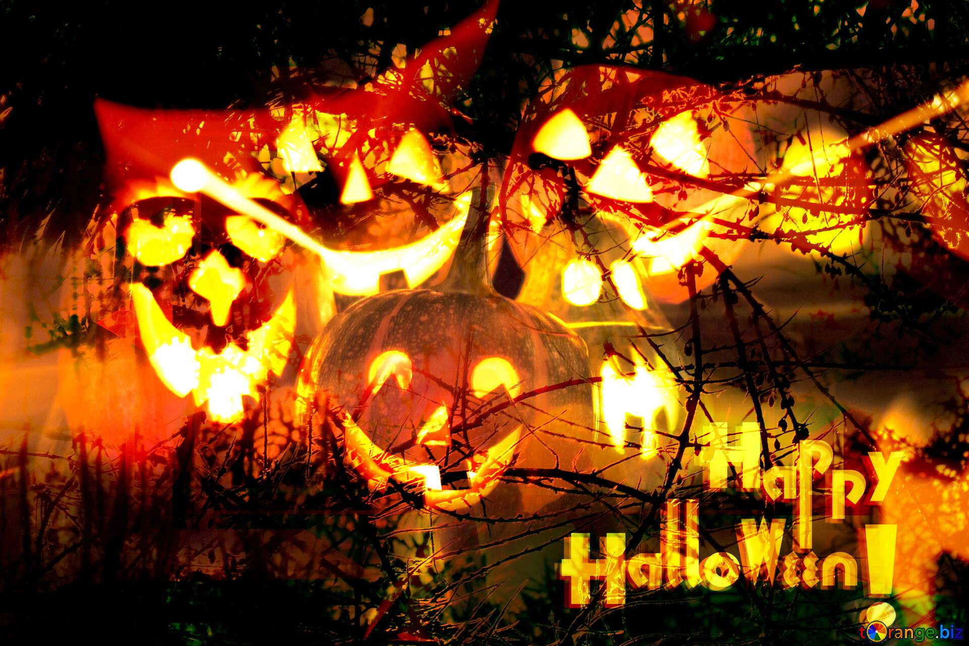 Download Free Picture Wallpaper Halloween Spooky Forest On CC BY License Free Image Stock TOrange.biz Fx №193572