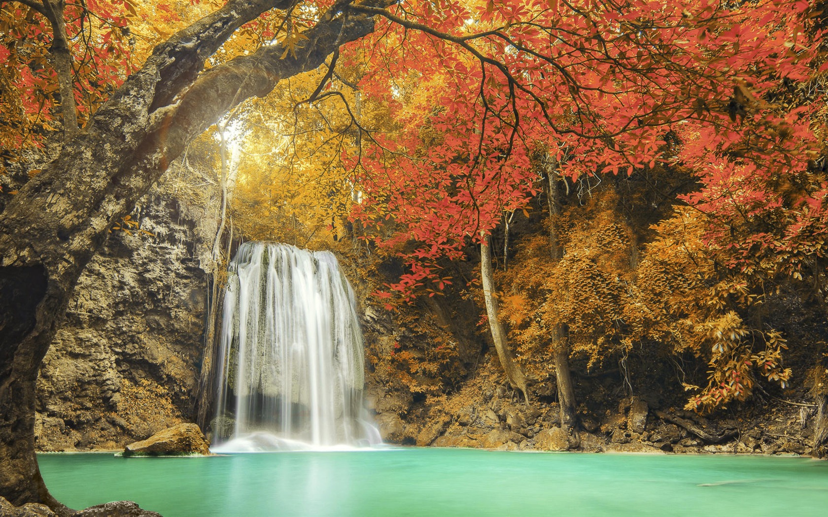 Autumn Forest Waterfall Windows 10 HD Wallpaper