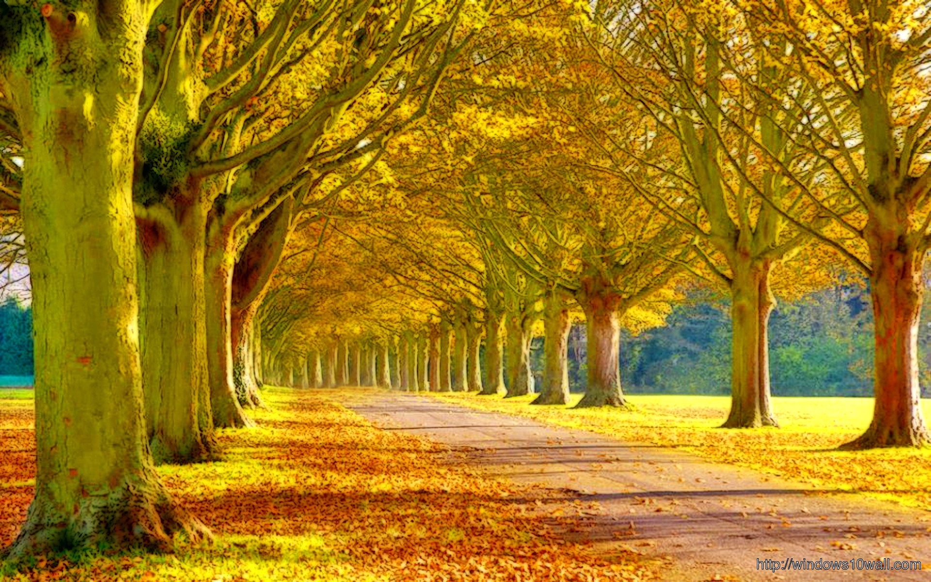 Beautiful Autumn Street 10 Wallpaper