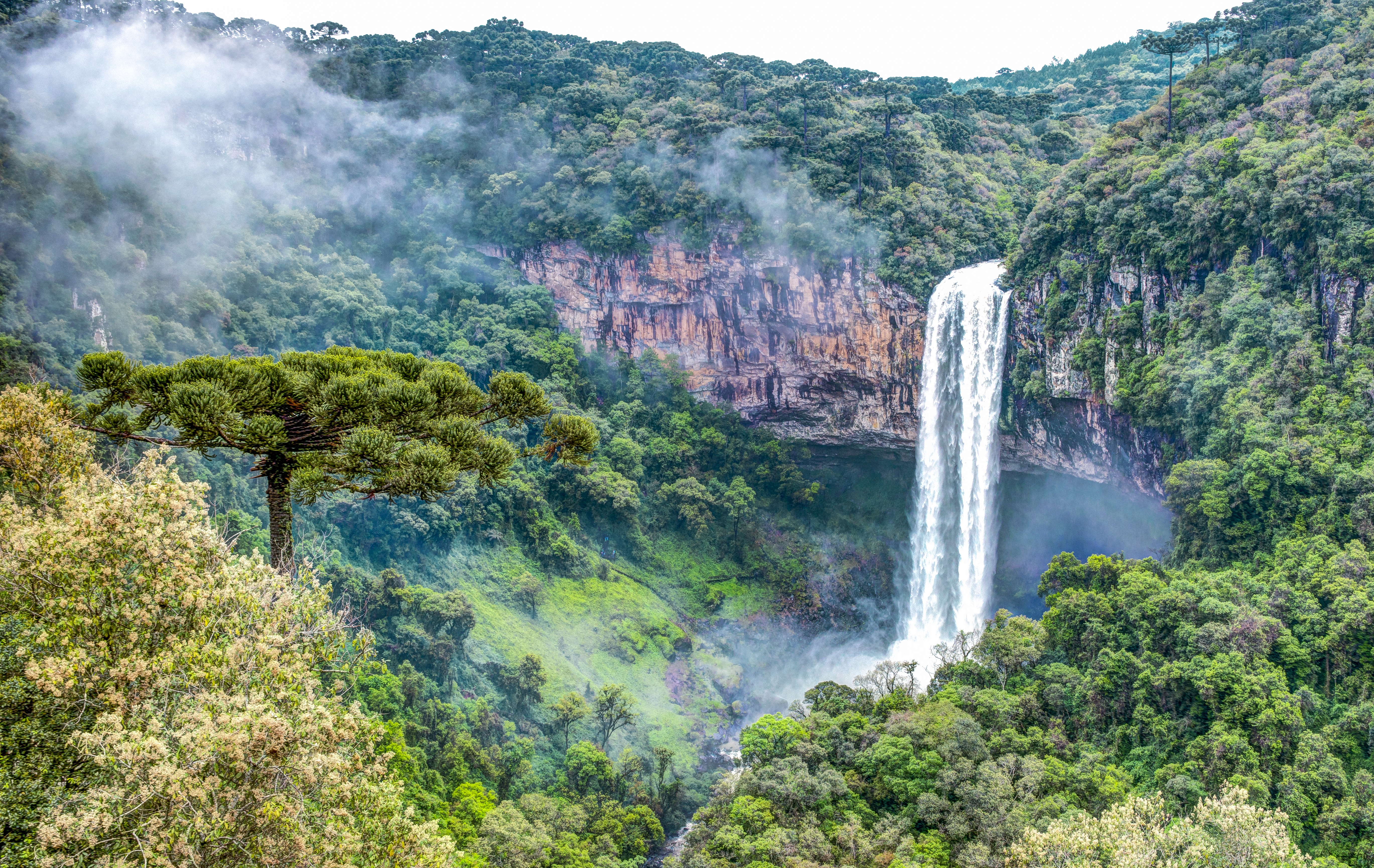 Download 5476x3463 cascata do caracol, caracol falls, waterfall, rio grande do sul, brazil, forest Wallpaper