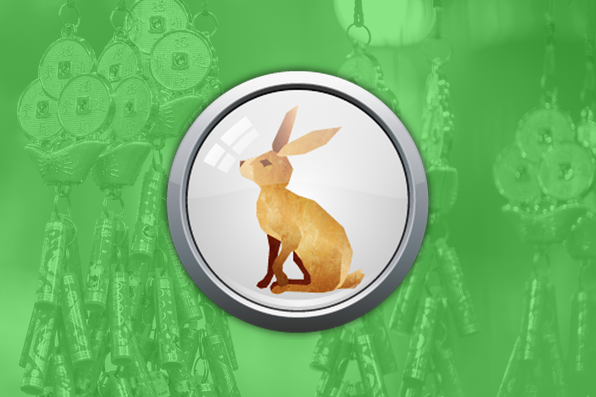 Rabbit zodiac sign: What your animal has in store for you this Chinese New Year