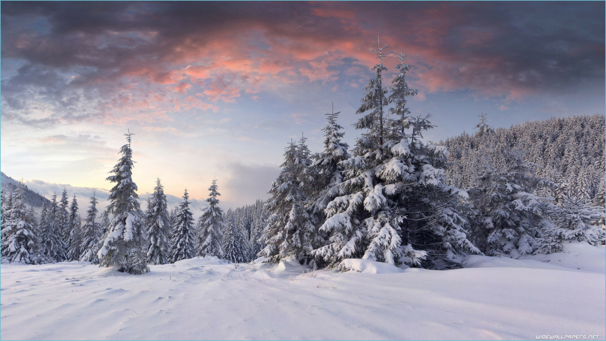 Ultra HD Winter Wallpaper Wallpaper 4k