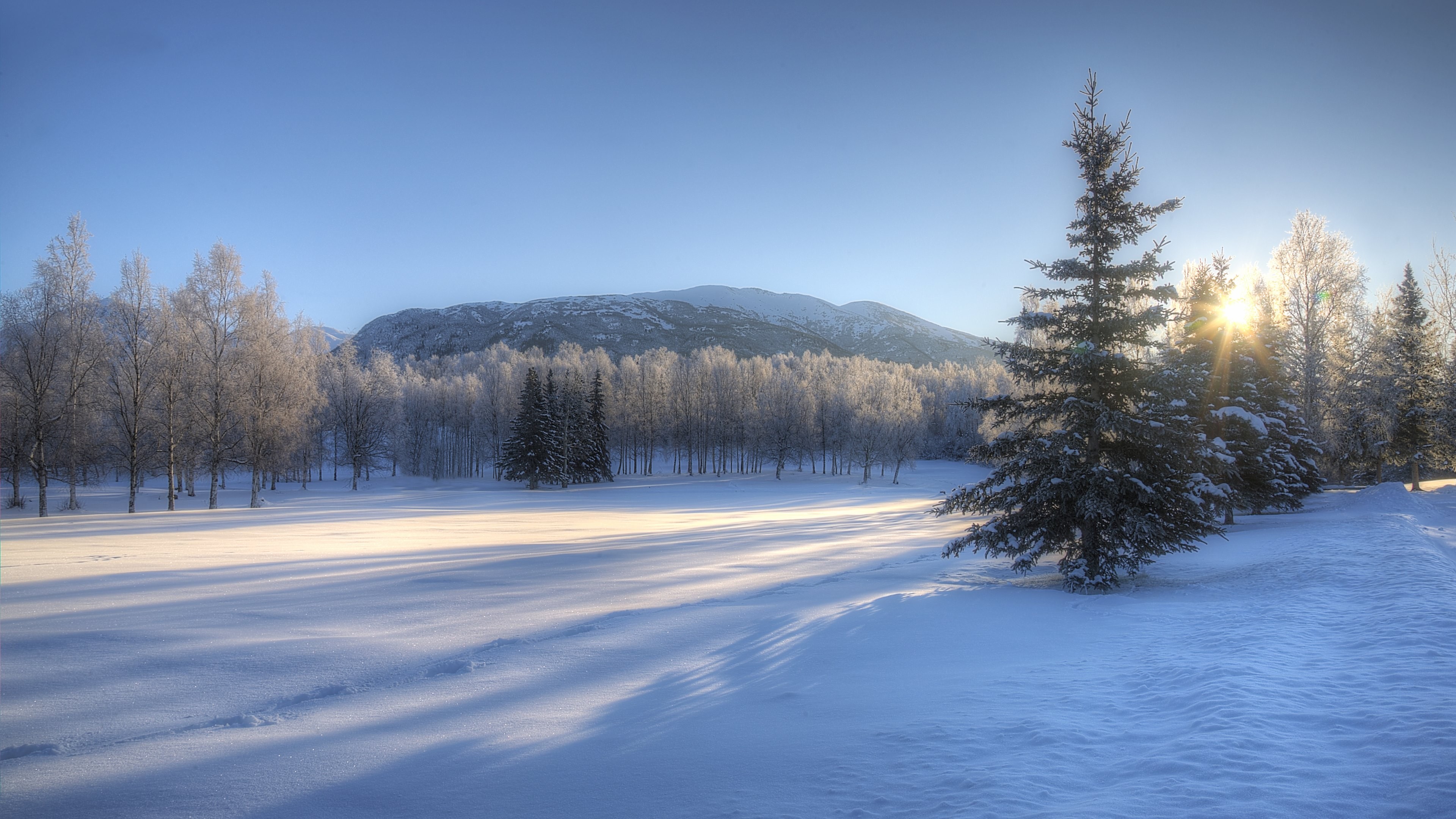 winter wallpaper 4k, snow, winter, sky, nature, tree