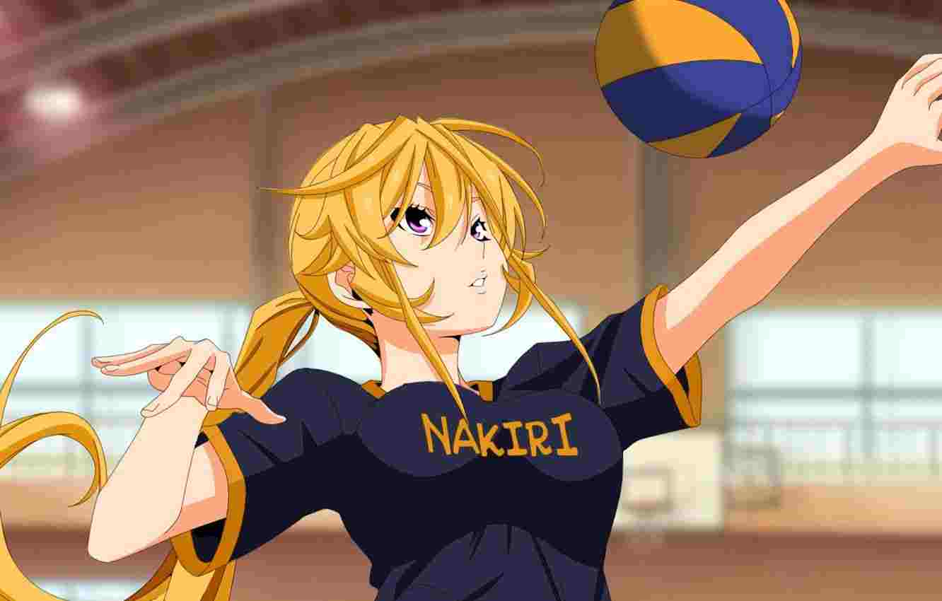 Update more than 79 the volleyball anime in.duhocakina