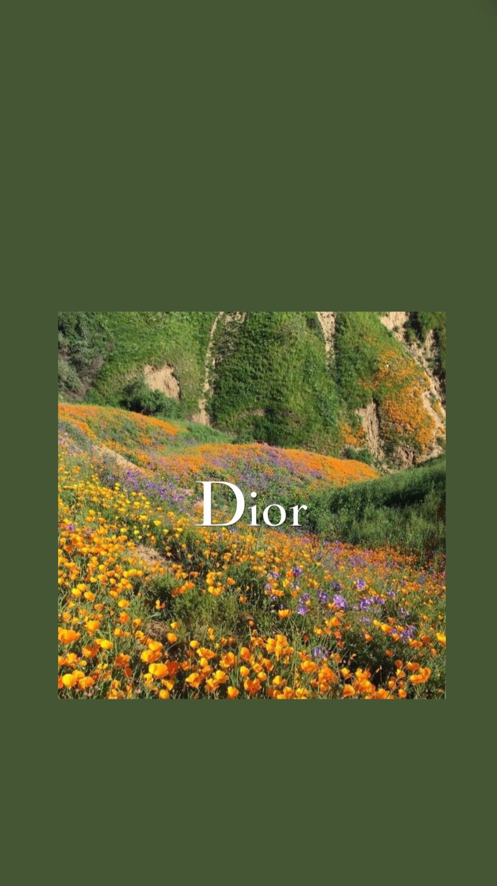 Flower Field Dior Wallpaper. Aesthetic wallpaper, Dior wallpaper, iPhone background wallpaper