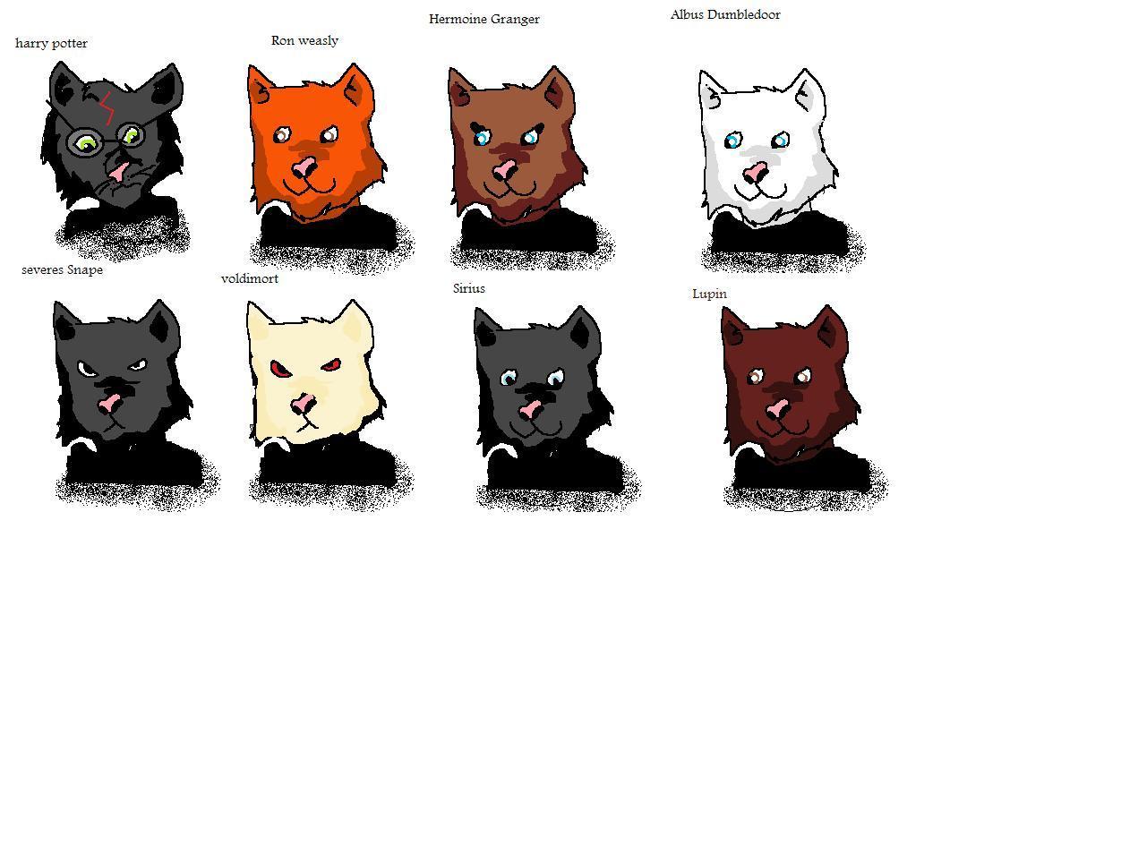 Harry Potter Cat Wallpaper