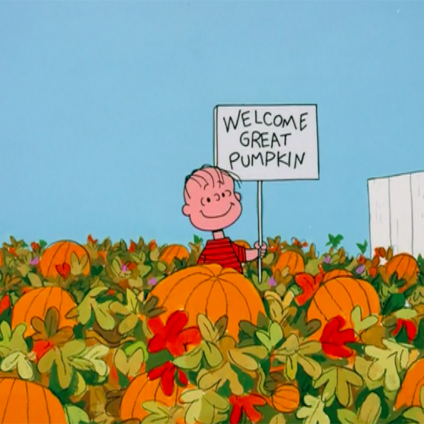 HD wallpaper thanksgiving pumpkin halloween snoopy charlie brown  human representation  Wallpaper Flare