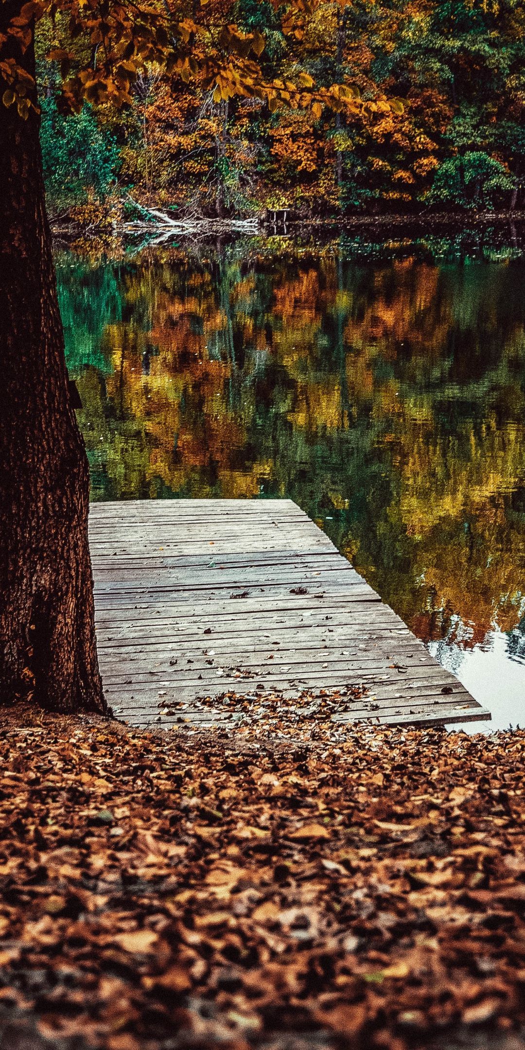 Pier, lake, fall, leaves, autumn, lake, reflections, 1080x2160 wallpaper. Autumn lake, Fall wallpaper, Lake landscape