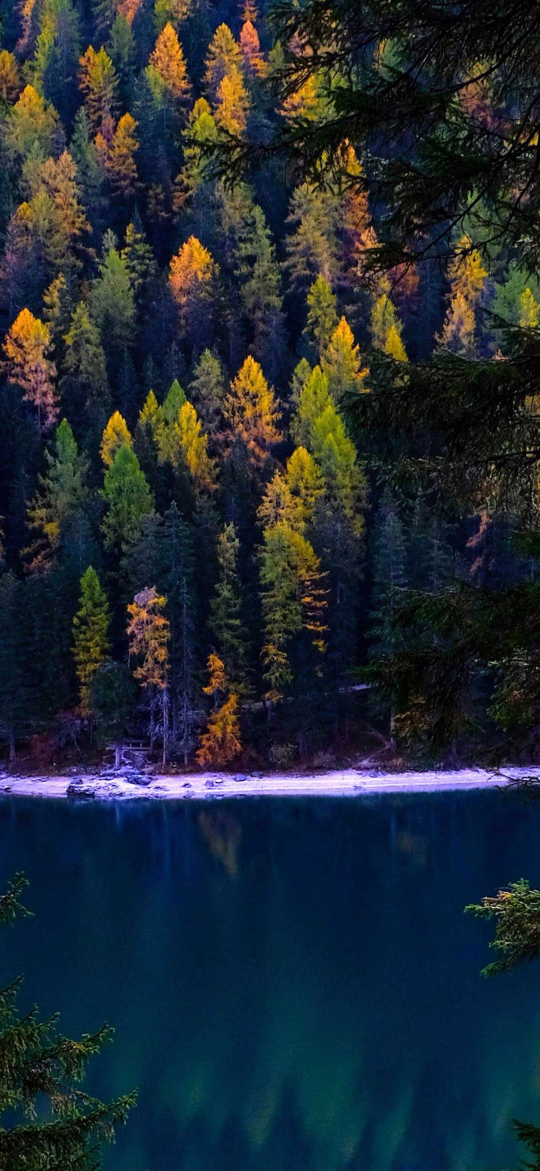 iPhone X Wallpaper Forest autumn lake HD. Autumn lake, iPhone wallpaper night, Lake