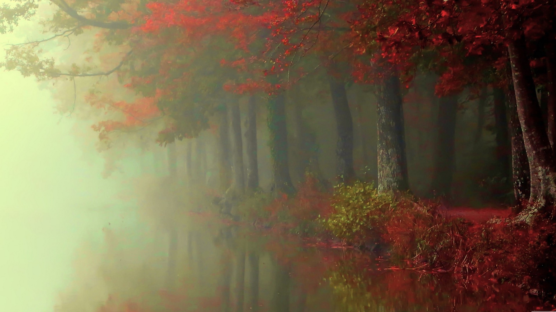Wallpaper, sunlight, trees, landscape, painting, forest, fall, leaves, nature, red, reflection, sky, branch, evening, morning, mist, river, texture, atmosphere, shrubs, tree, autumn, leaf, 1920x1080 px, computer wallpaper, biome, acrylic paint, phenomenon