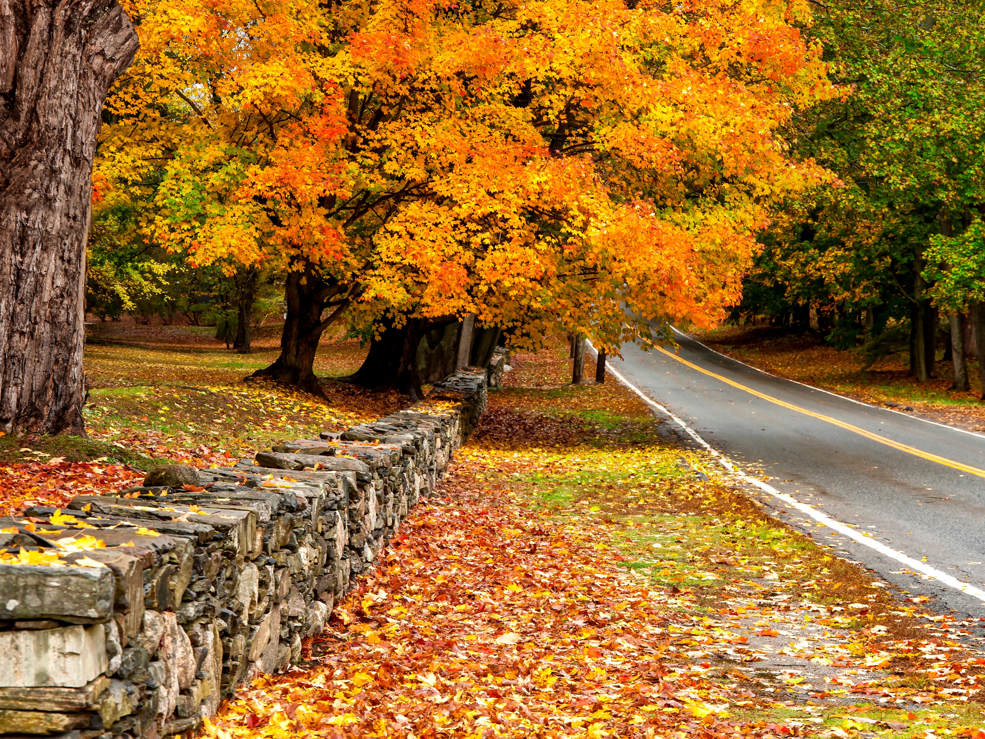 The Design Lover's Guide to the Loveliest Northeast Road Trips