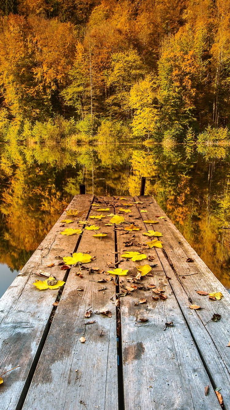 Autumn Lake iPhone Wallpaper HD