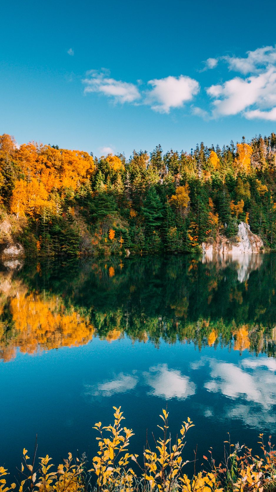 Download Wallpaper 938x1668 Autumn, Lake, Trees, Water, Reflection Iphone 8 7 6s 6 For Parallax HD Background
