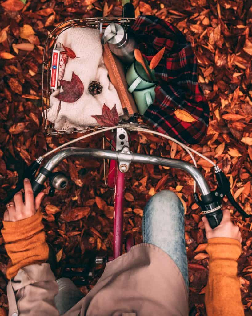 Stunning Fall Wallpaper For Your iPhone! & Pearls