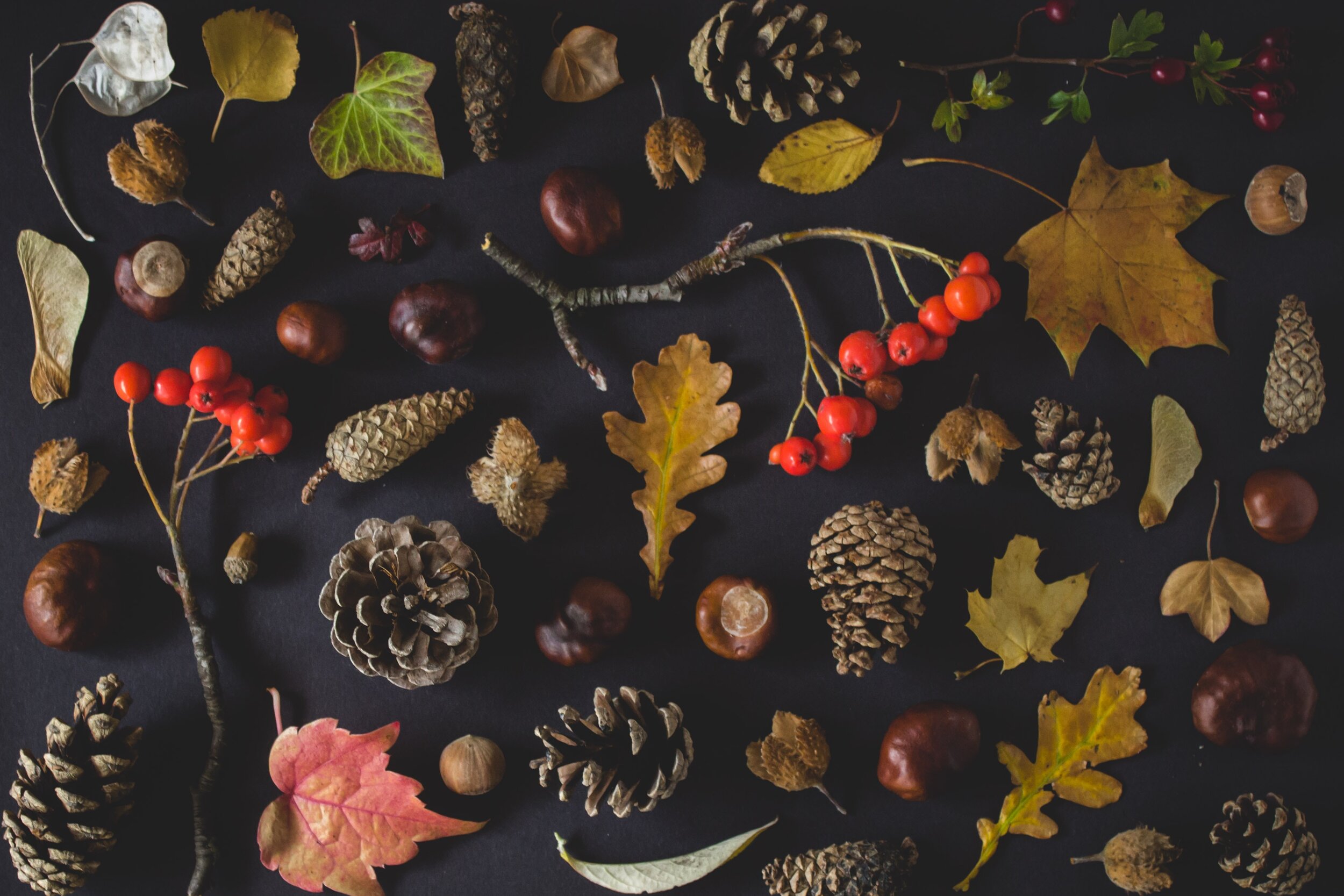 Warm Neutral Autumn Wallpapers - Wallpaper Cave
