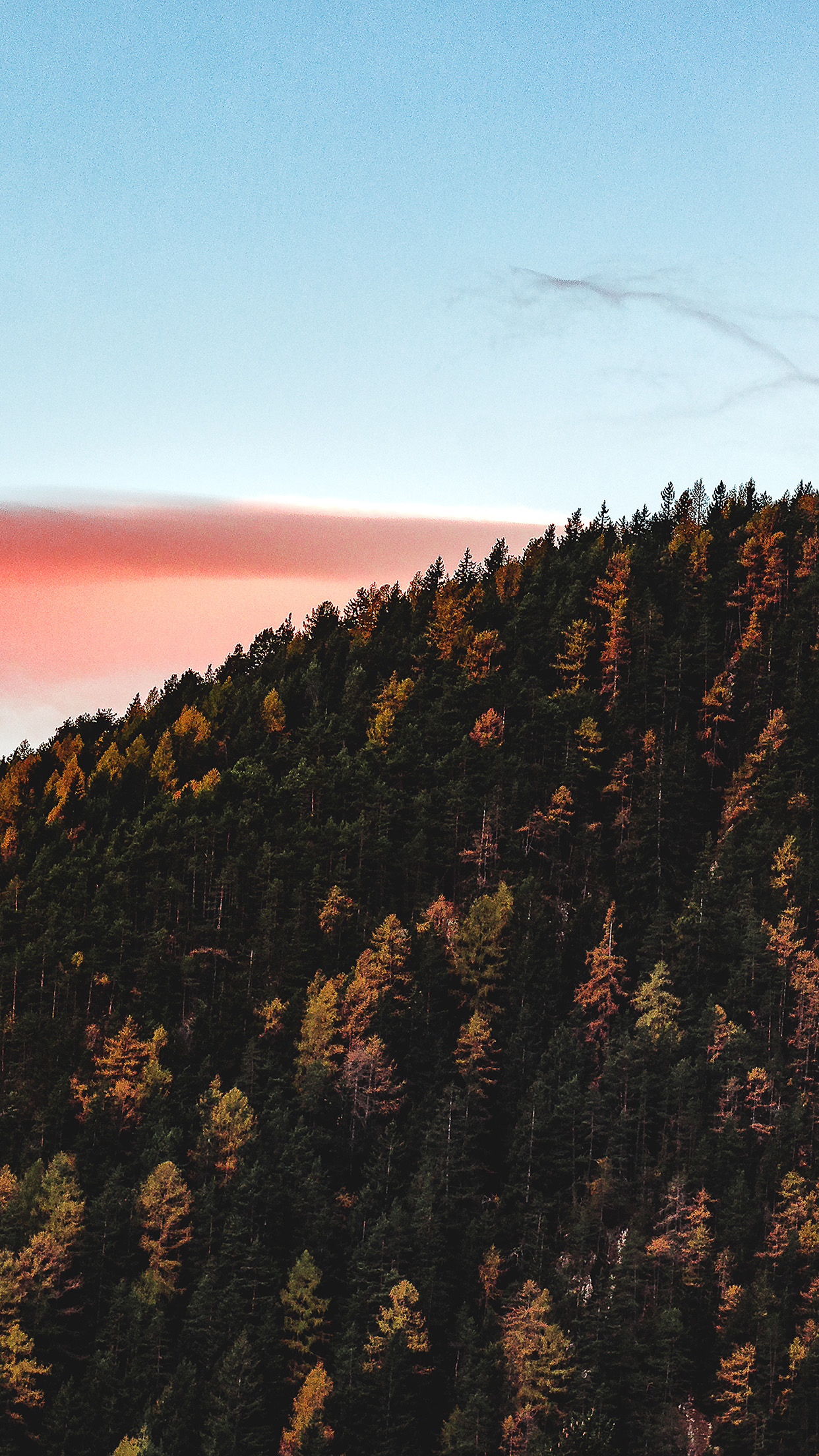 Fall Mountain Wood Autumn Nature