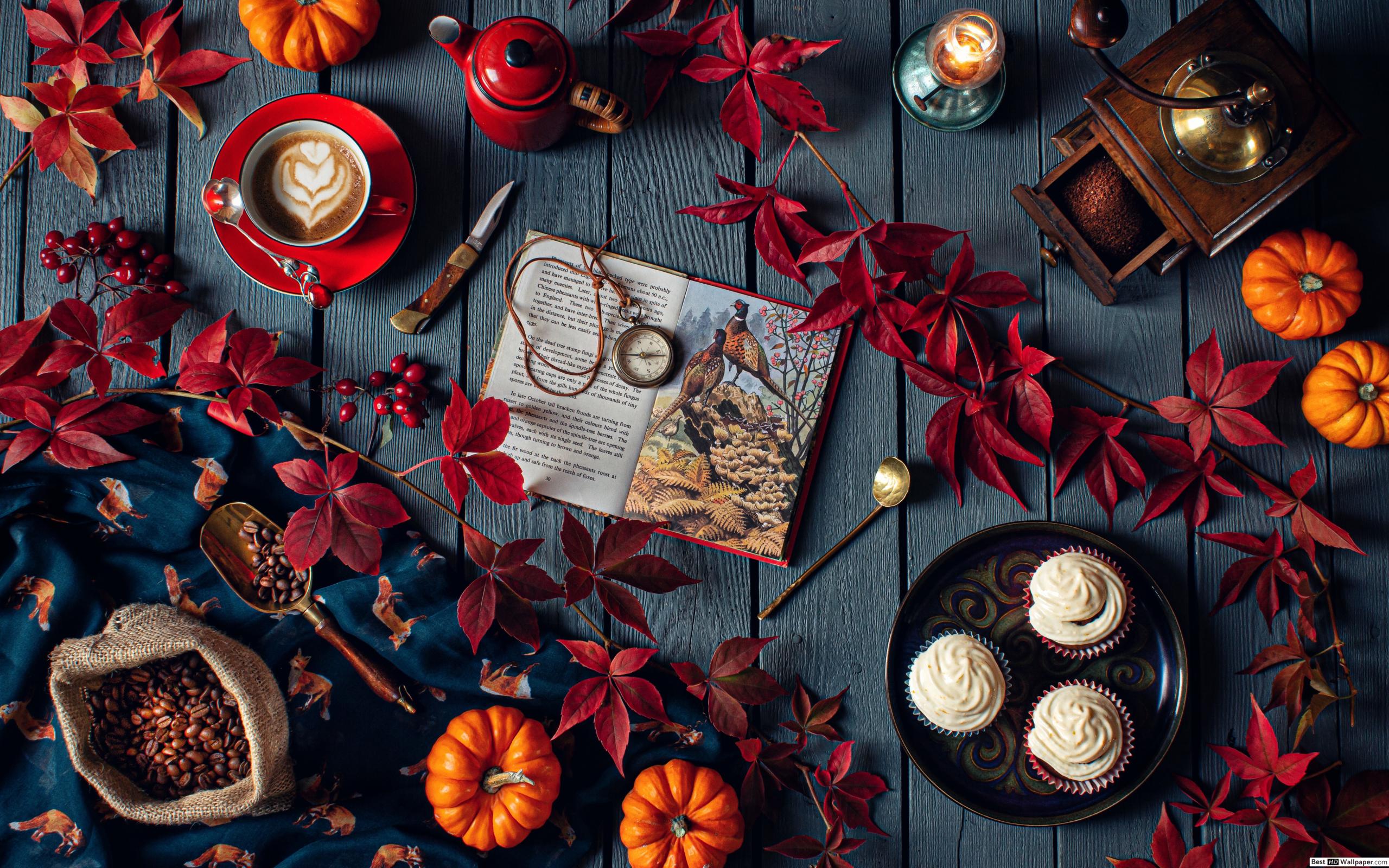 Creative fall concept for Halloween with coffee, cupcakes, pumpkin and books HD wallpaper download