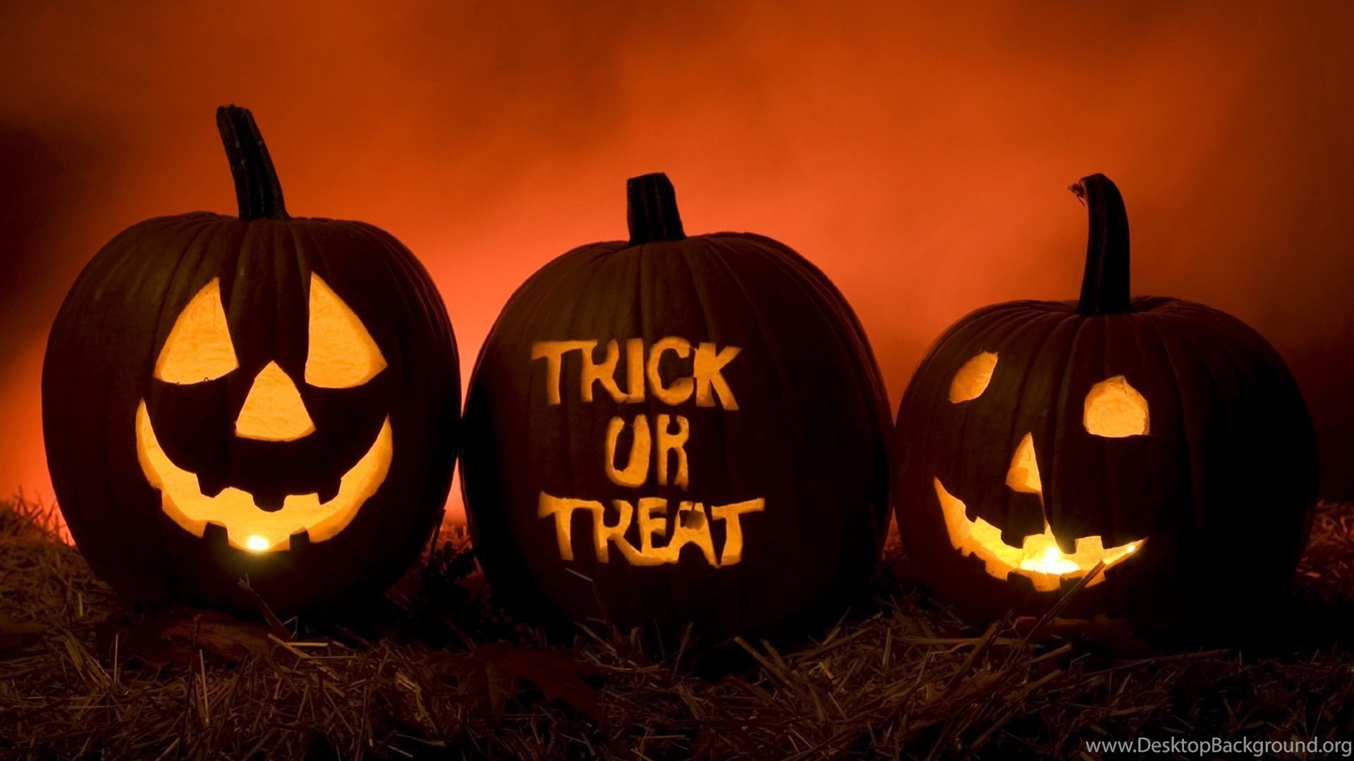 Halloween Wallpaper Pumpkin Wallpaper Desktop Background