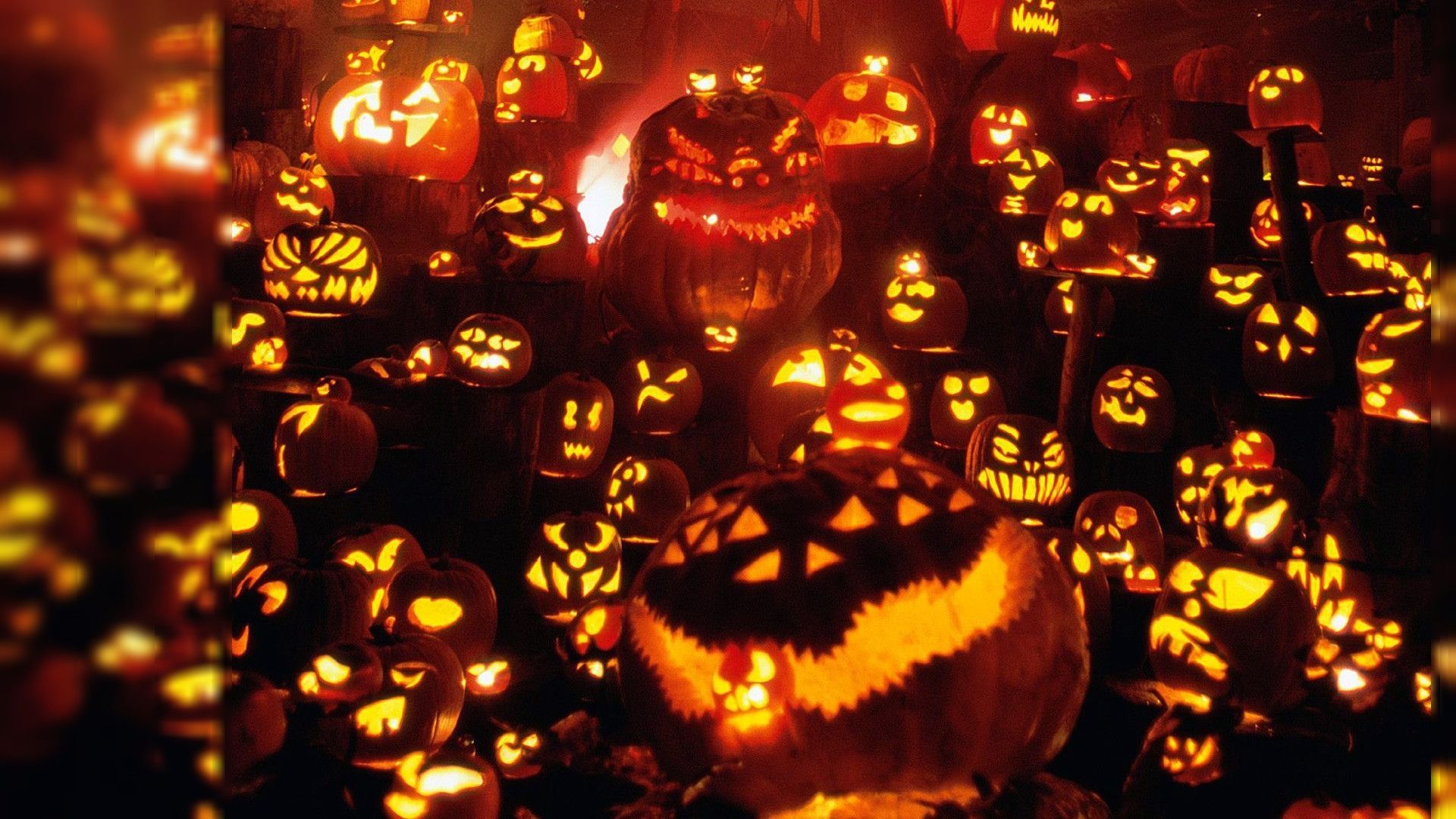 Halloween Pumpkin Background