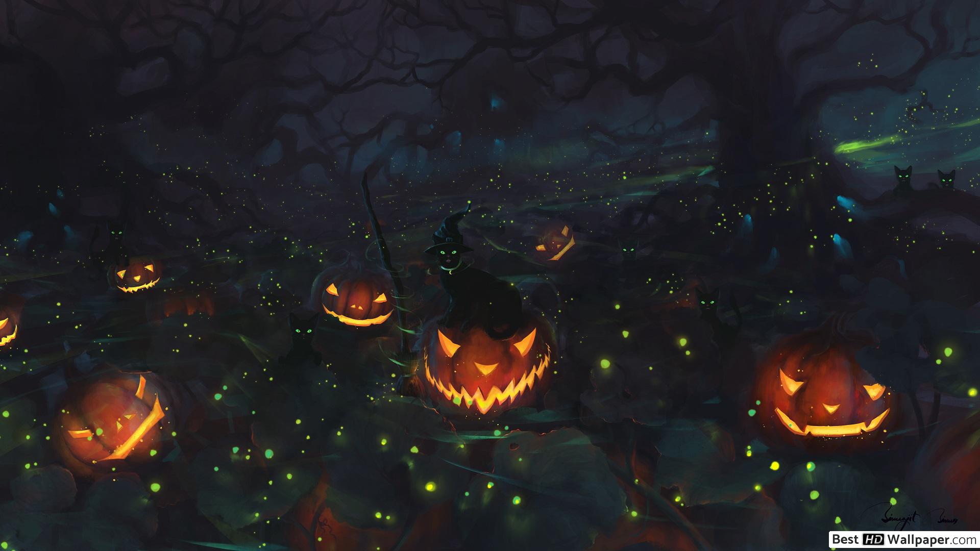 Halloween Pumpkin HD wallpaper download