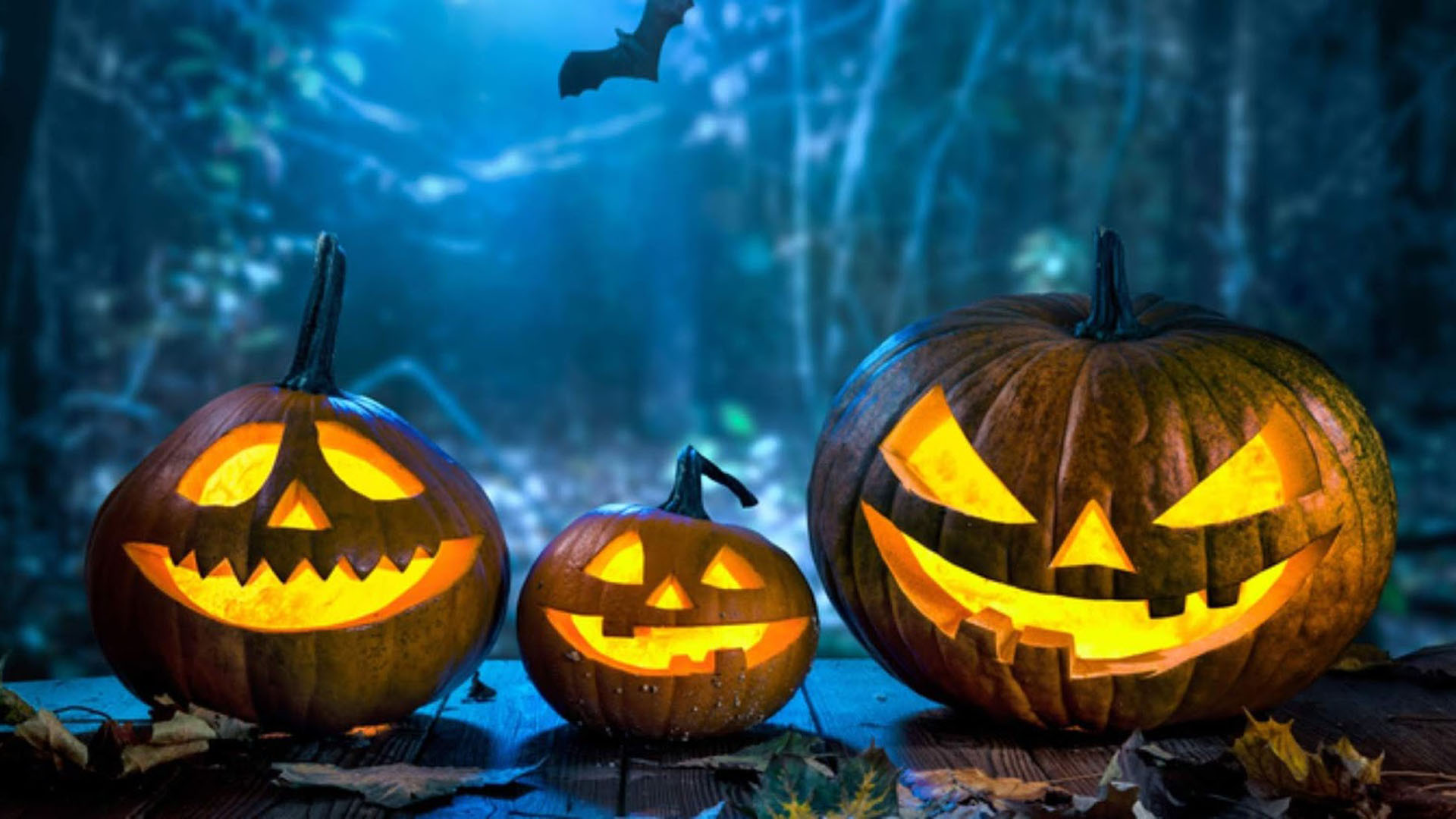 Three Pumpkins Halloween Face In Dark Forest Background HD Halloween Wallpaper