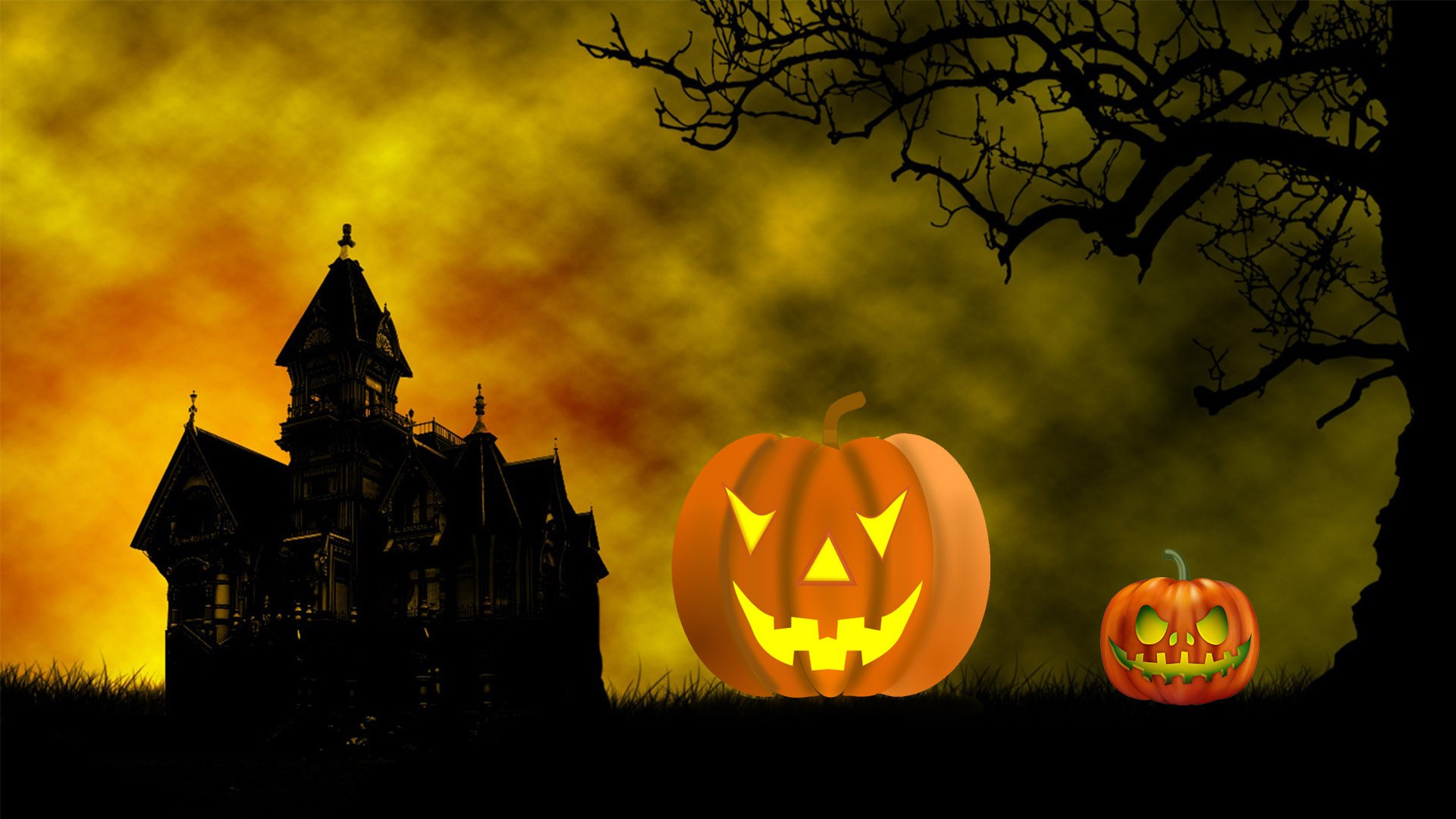 Halloween Pumpkin Background HD Wallpaper 34733