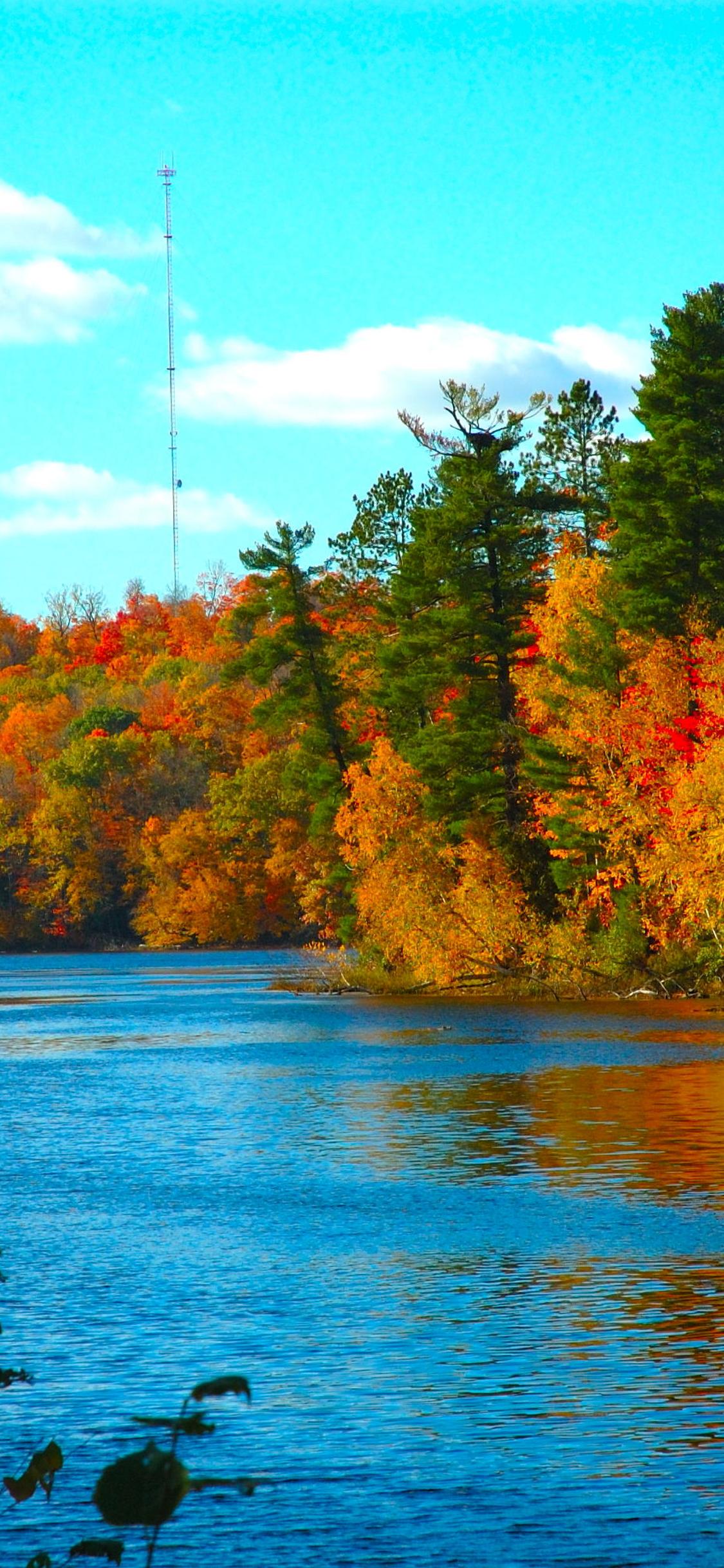 Autumn season is wonderful trees and lake