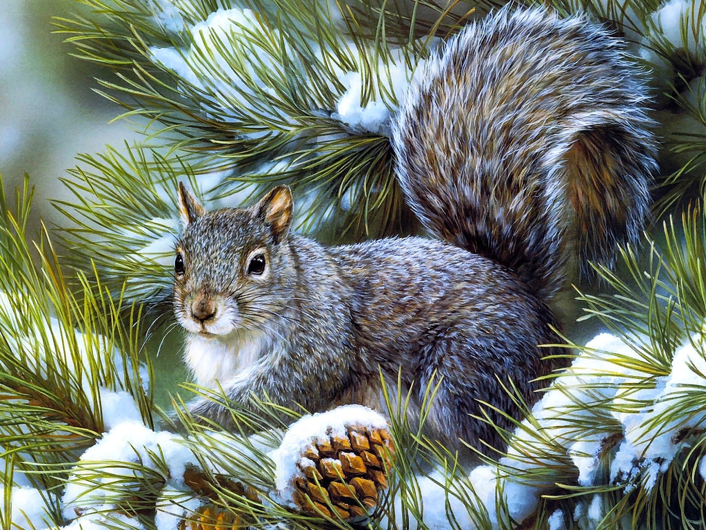 animal christmas Sweet winter squirrel