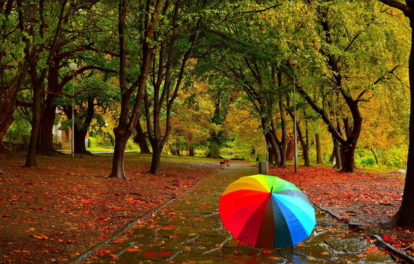 Wallpaper Autumn, Rain, Umbrella, Park, Fall, Foliage, Park, Autumn, Rain, Umbrella, Colors, Leaves image for desktop, section природа