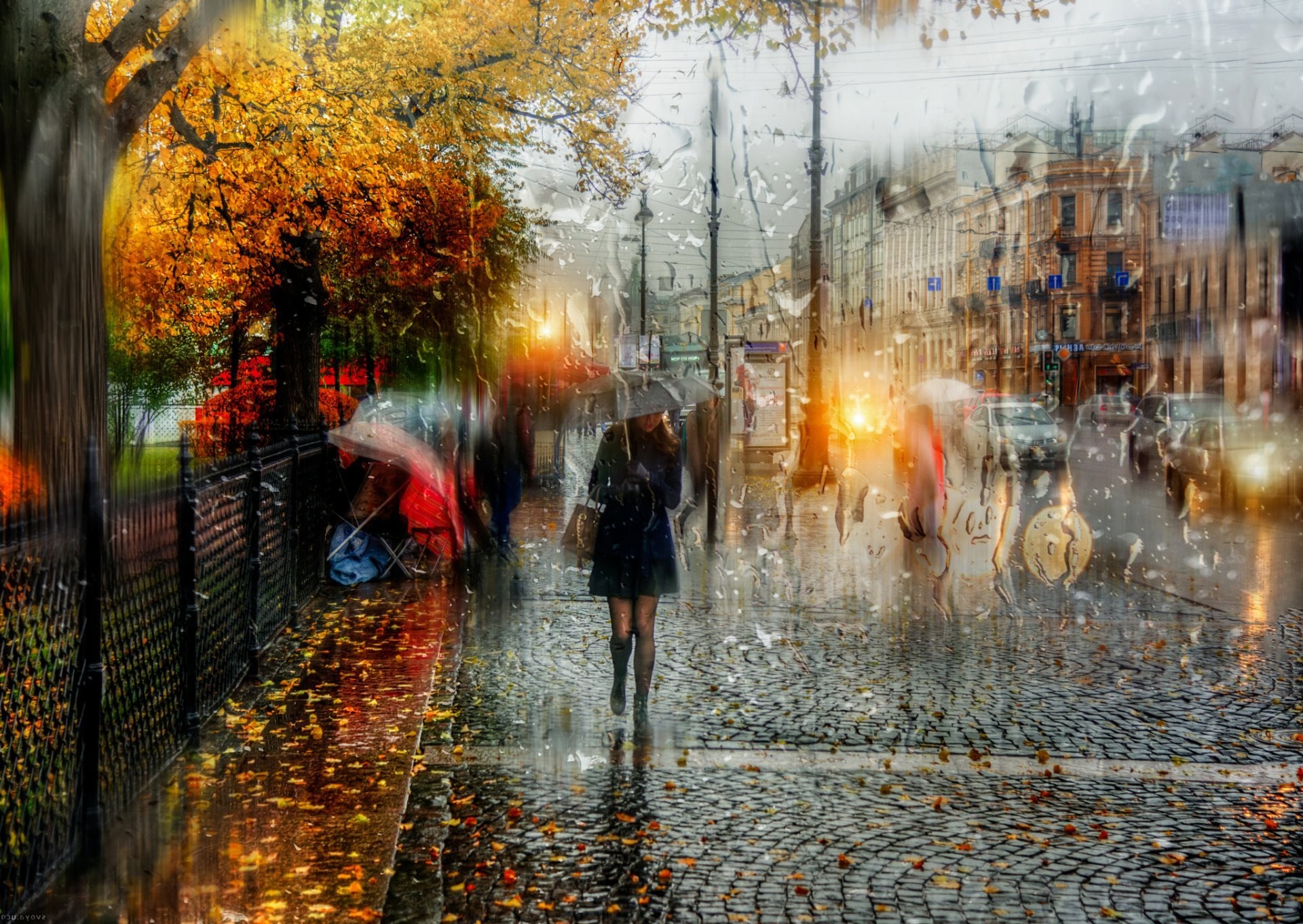 Petersburg Autumn Rain Girl Umbrella Drops Data Src Autumn Wallpaper HD