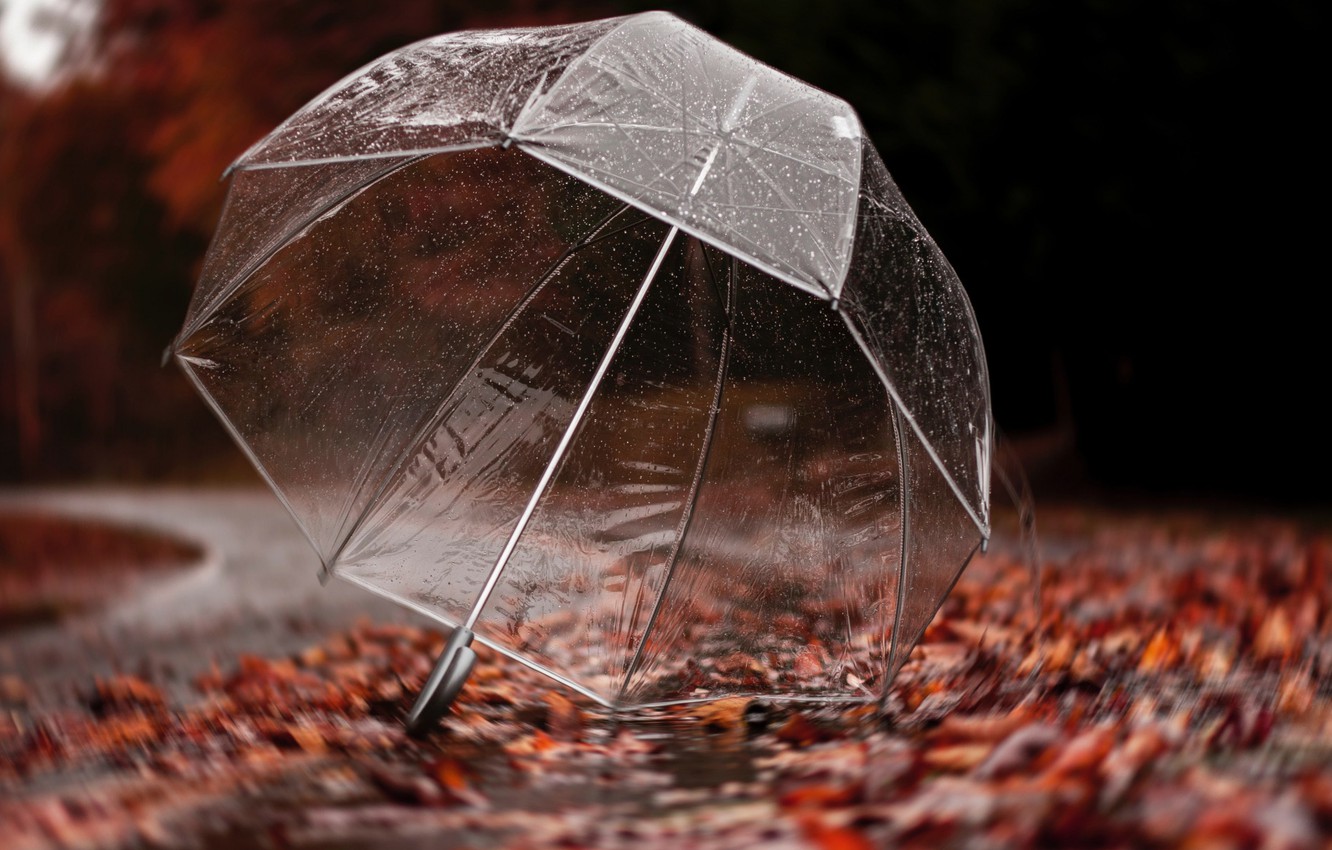 Wallpaper Autumn, Rain, Umbrella image for desktop, section природа