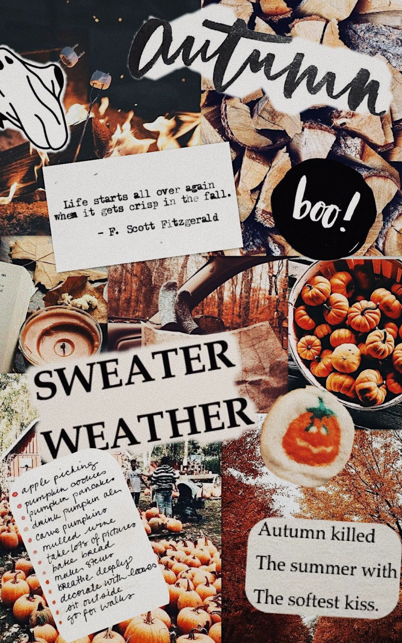 Free download Fall Collage Wallpaper Top Fall Collage Background [1170x1703] for your Desktop, Mobile & Tablet. Explore Aesthetic Collage Wallpaper. Collage Background, Hypebeast Collage Wallpaper, Aesthetic Wallpaper