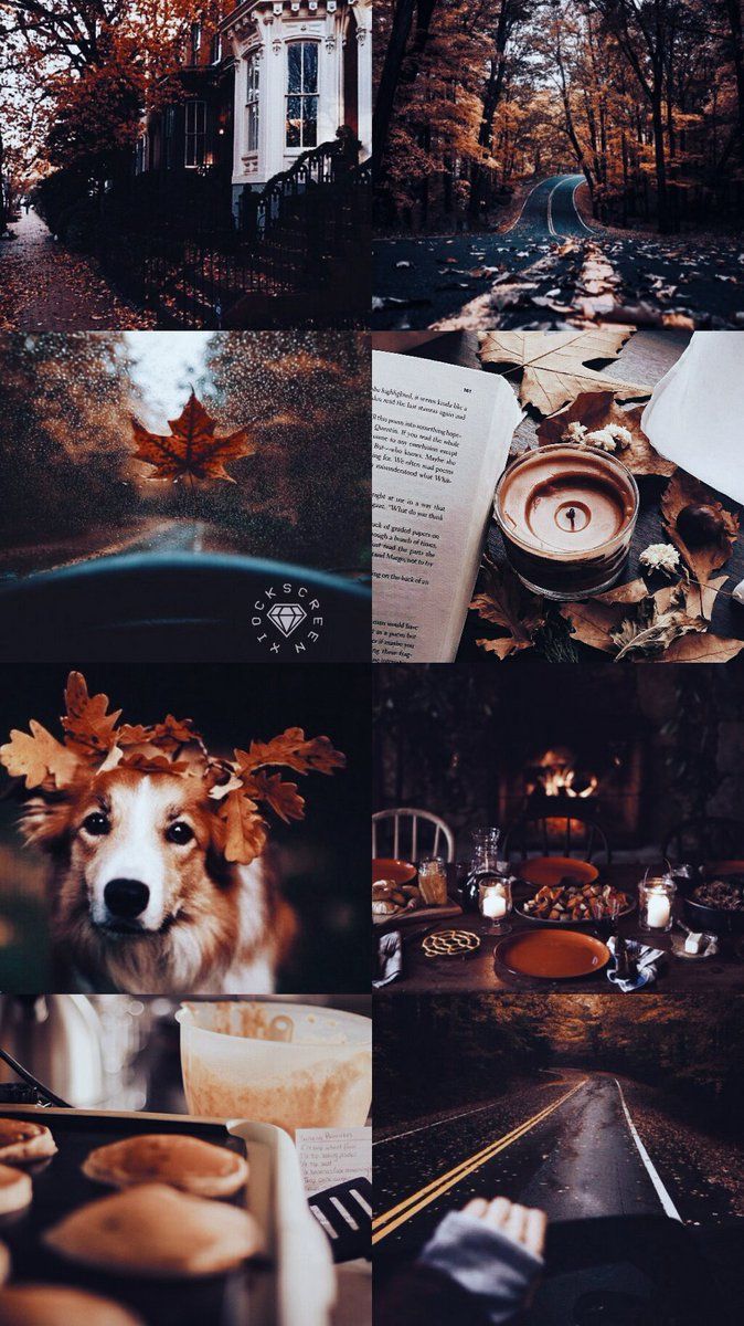mood board inspo // aesthetic. Dog wallpaper iphone, Fall wallpaper, Dog wallpaper