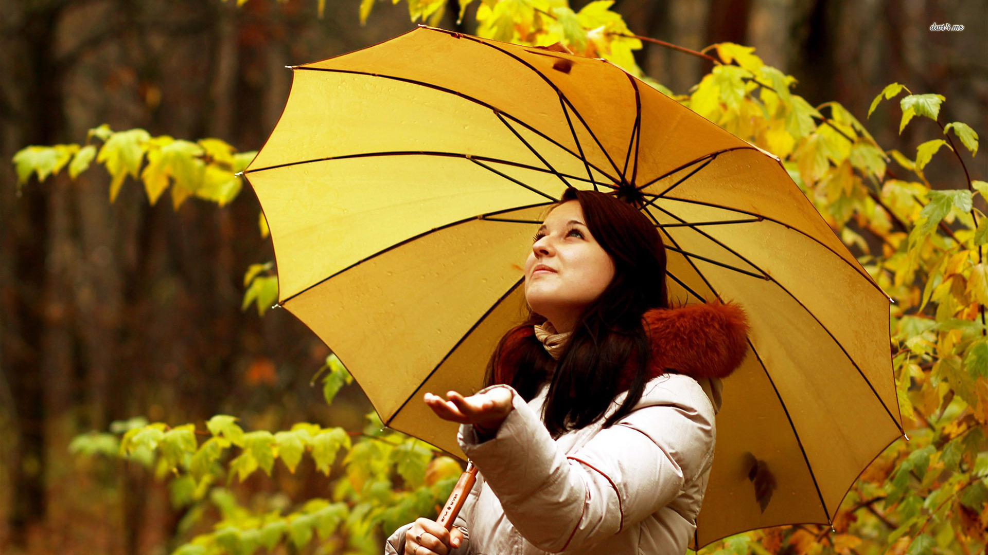 Free download Girl With Yellow Umbrella Under Autumn Rain Wallpaper MixHD [1920x1080] for your Desktop, Mobile & Tablet. Explore Woman in the Yellow Wallpaper. Yellow Wallpaper Critical Analysis, The