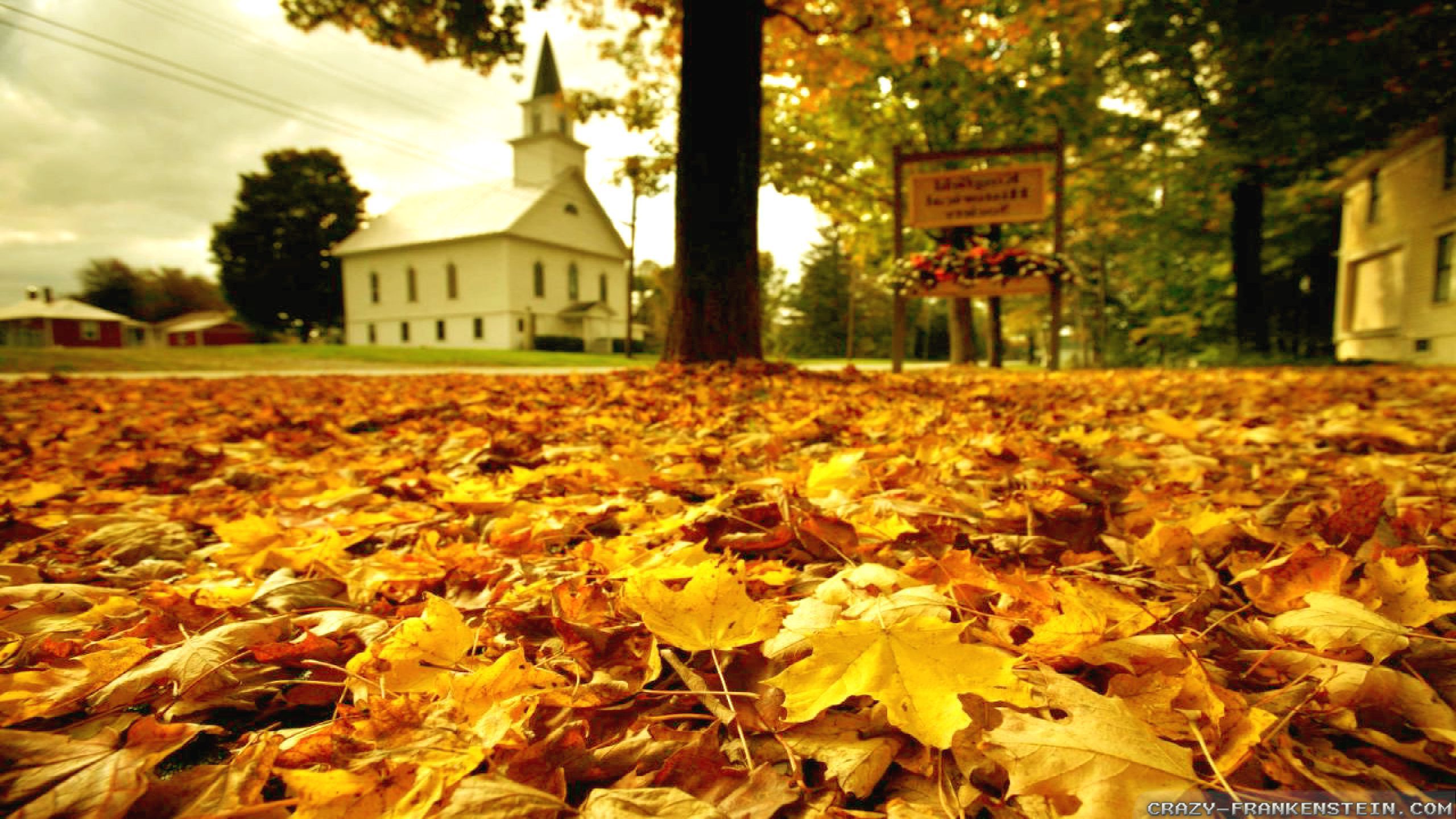 Autumn in America wallpaper