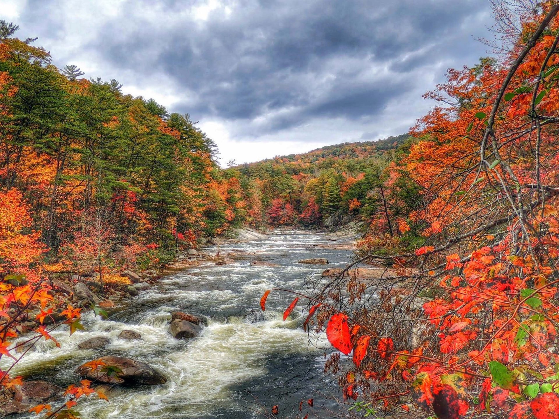 Callaway Gardens In Pine Mountain Georgia United States Of America Autumn Landscape Nature HD Wallpaper For Deskx2400, Wallpaper13.com